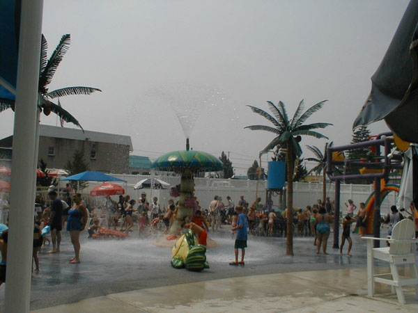 Dutch Wonderland Spray Ground