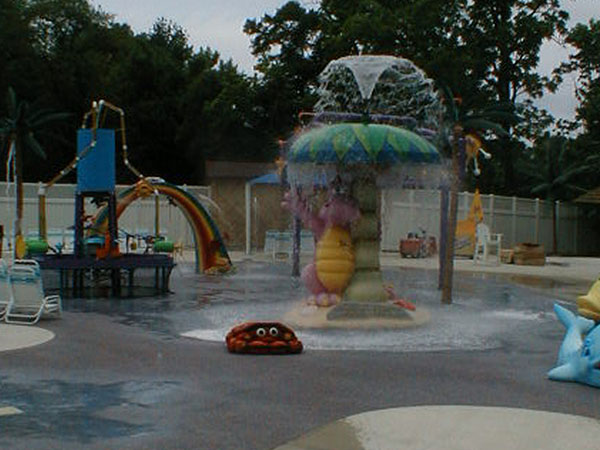 Dutch Wonderland Spray Ground
